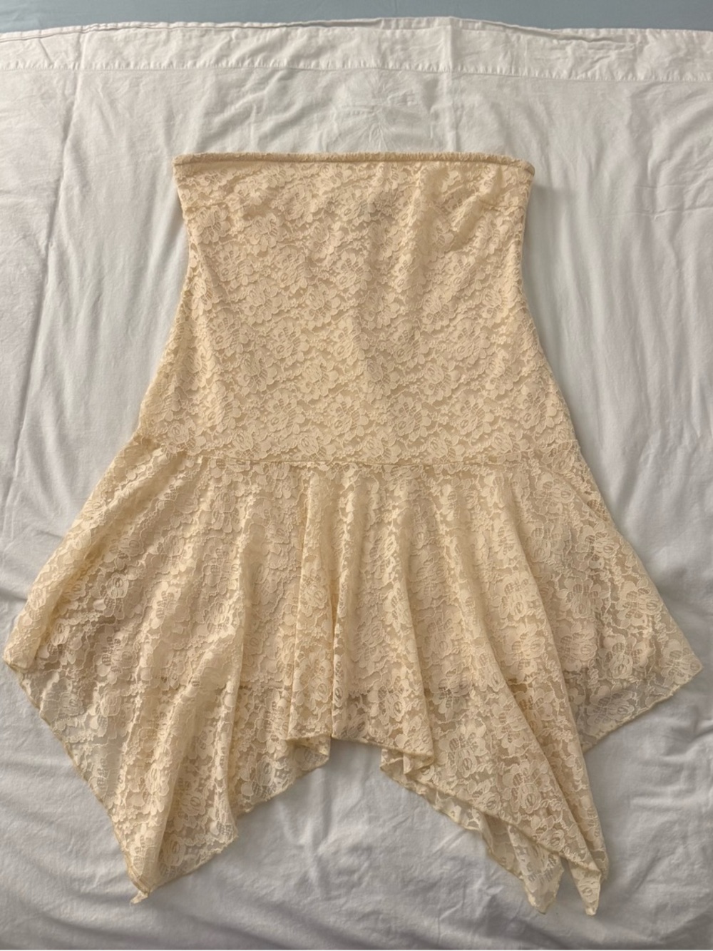 Edikted Sandia Strapless Lace Mini
Dress size XL
